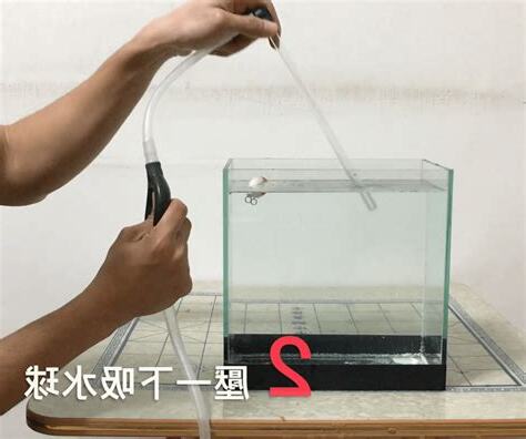 魚缸 換水